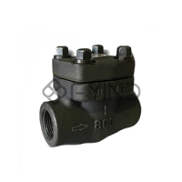 uae/images/productimages/technofit-me-fzco/swing-check-valve/forged-carbon-steel-check-swing-valve.webp