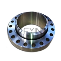 uae/images/productimages/technofit-me-fzco/swivel-flange/forged-stainless-steel-swivel-flange.webp