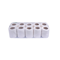 uae/images/productimages/tesco-industries-llc/general-purpose-tissue-paper/plain-toilet-roll-250-sheets.webp