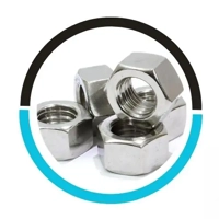 uae/images/productimages/the-piping-mart/hexagon-nut/titanium-hex-head-nut-gr-2-m3-m56-3-200-mm-344-mpa-4-5-g-cm3.webp