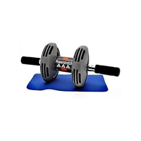 uae/images/productimages/top-sky-land-general-trading-llc/abdominal-roller/sky-land-power-stretch-roller-em-1806-gray.webp