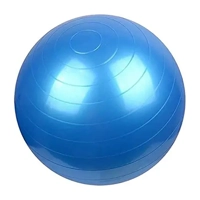 uae/images/productimages/top-sky-land-general-trading-llc/exercise-ball/sky-land-yoga-ball-with-pump-em-9316-blue.webp