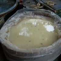 uae/images/productimages/tradeasia-international-dmcc/gum-rosin/oleo-pine-resin-pale-yellow-colour.webp