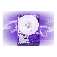 uae/images/productimages/ultra-stream-technologies-llc/hard-disc-drive/surveillance-hard-drive-connectivity-technology-drive-capacity-3-tb-purple-wd30purx-wd30purz.webp