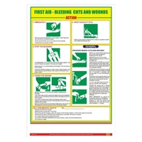 uae/images/productimages/universal-wheels-trading-llc/workplace-safety-poster/loto-lok-first-aid-poster-fa-10-vertical-600-450-mm.webp