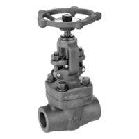 uae/images/productimages/valvometal-middle-east/globe-valve/forged-globe-valves-size-range-0-25-2-inch.webp