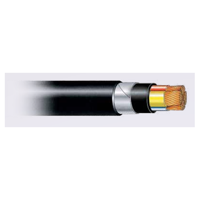uae/images/productimages/woodmark-building-materials-tr-llc/power-cable/0-6-or-1-kv-xlpe-pvc-copper-steel-tape-armoured-cable-300-kg-per-km.webp