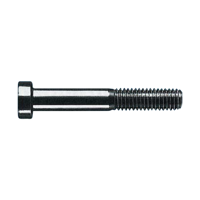 uae/images/productimages/wurth-gulf-f-z-e/socket-screw/fillister-head-screws-low-allen-head-111.webp