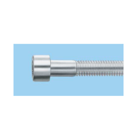 uae/images/productimages/wurth-gulf-f-z-e/socket-screw/hex-socket-screws-100.webp