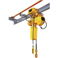 uae/images/productimages/x-platform-access-cradles-manufacturing-llc/chain-hoist/electric-chain-hoist.webp