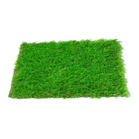 uae/images/productimages/z-&-s-carpets/artificial-turf/exhibition-grass-dm-bg-50-mm.webp