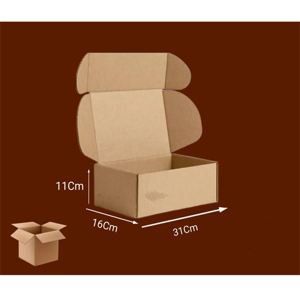 Packaging Carton