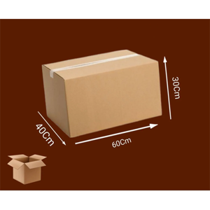 Packaging Carton