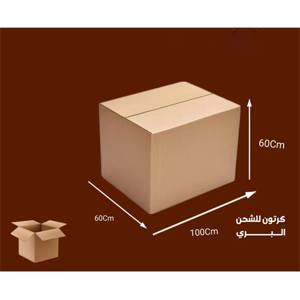 Packaging Carton
