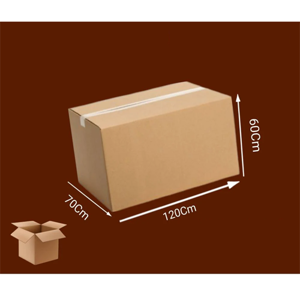 Packaging Carton