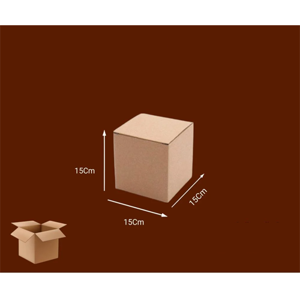 Packaging Carton