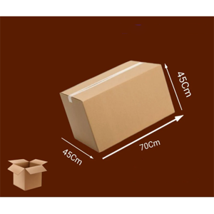 Packaging Carton