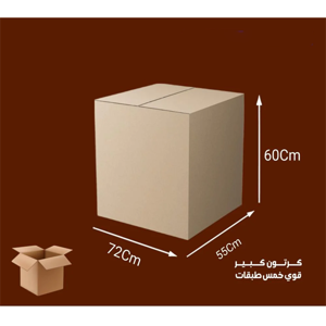 Packaging Carton