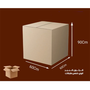 Packaging Carton