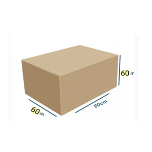 Packaging Carton
