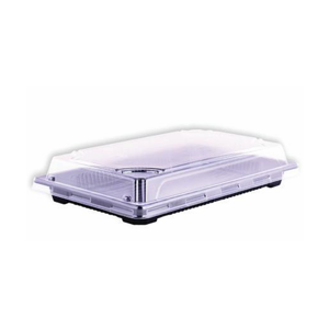 Disposable Food Tray