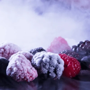 Food Preservation Management or Control Service