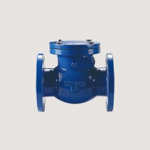 Check Valve