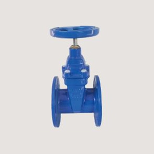 Gate Valve