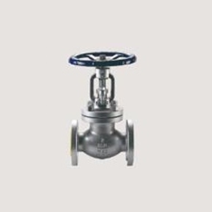 Globe Valve