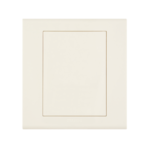 Electrical Outlet Plate