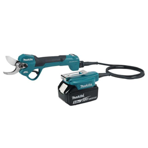 Pruning Shear