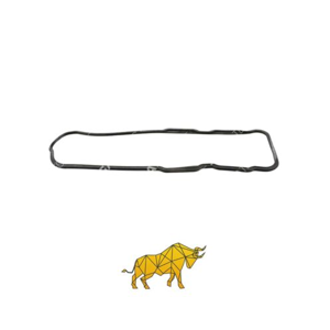 Non Metallic Gasket