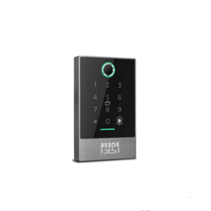 Security Control System