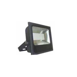 Flood Light