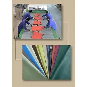 Leather Tanning or Finishing Manufacturing Service
