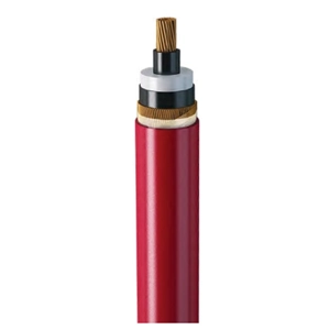 Power Cable