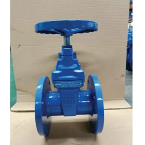 Gate Valve