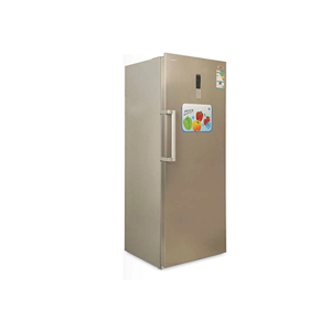 Domestic Refrigerator