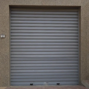 Sectional Door