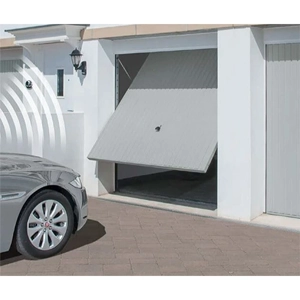 Tilt Up Door