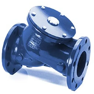 Check Valve