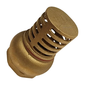 Foot Valve