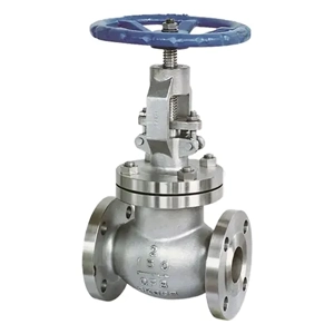 Globe Valve
