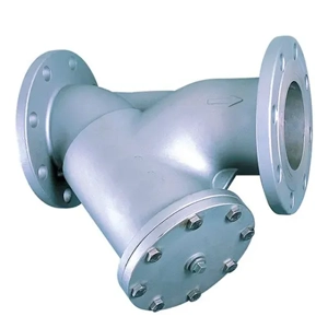 Y Strainer