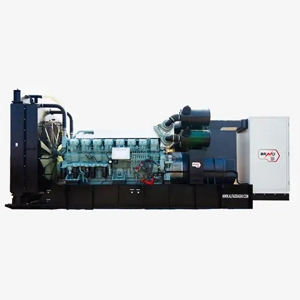 Diesel Generator