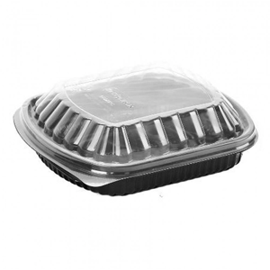 Disposable Plate