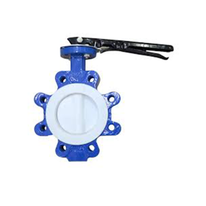 Butterfly Valve