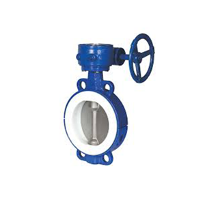 Butterfly Valve