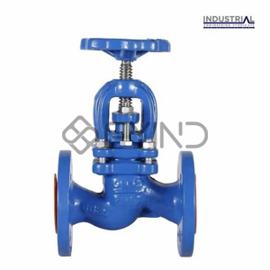 Globe Valve