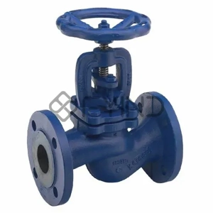 Globe Valve